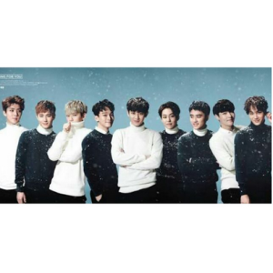 [ONHAND] EXO Song For You Official Poster (Blue)