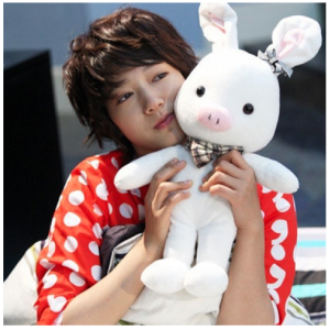 You're Beautiful PIG RABBIT 55cm Plushie DreamToy Original Brand from Korea